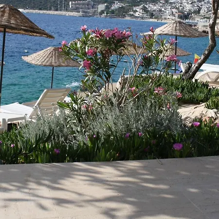 Club Patara 150 Apartament Kalkan